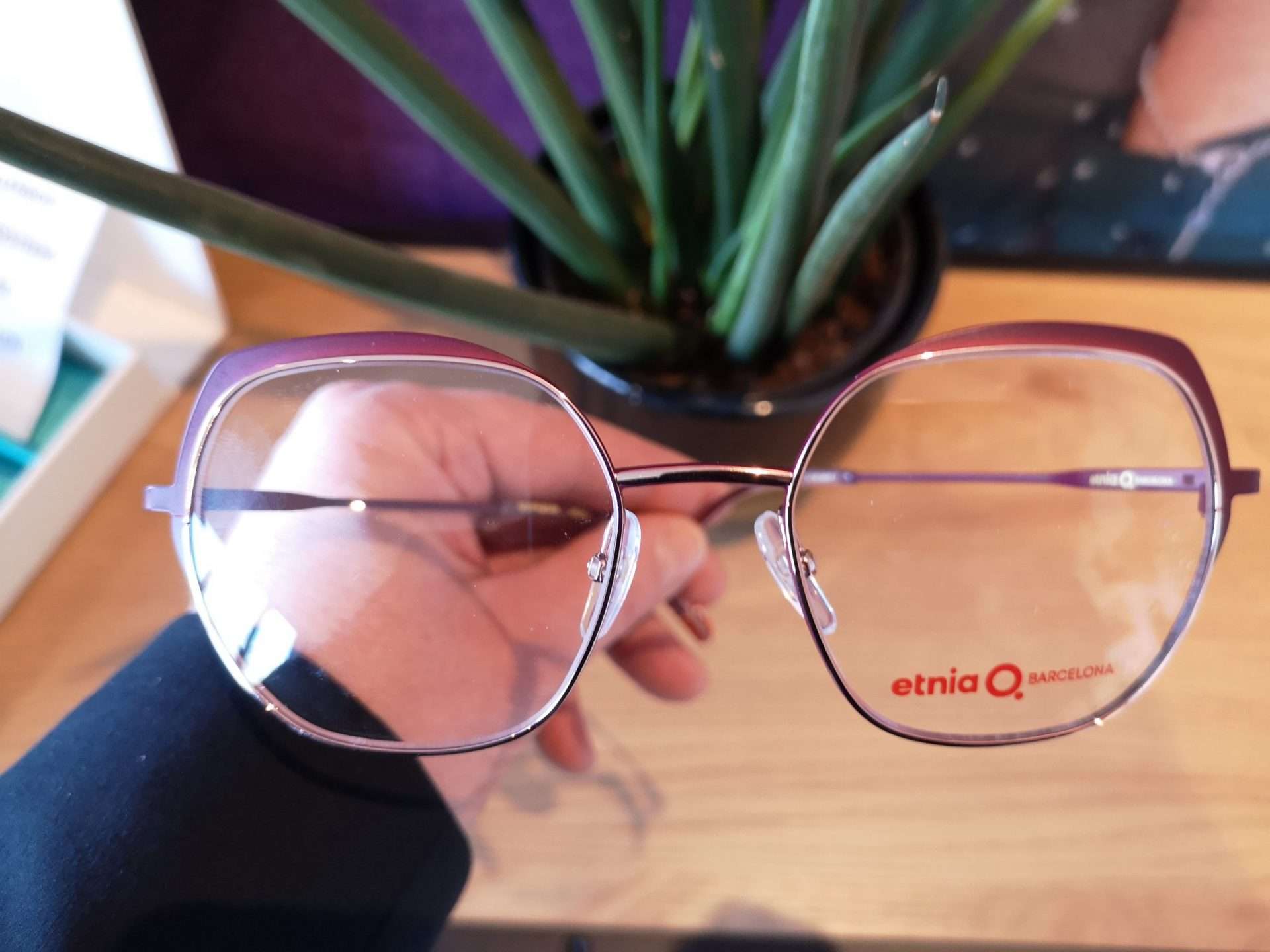 Wij verdelen brillen en monturen van Etnia Barcelona - Optiek Optic Services